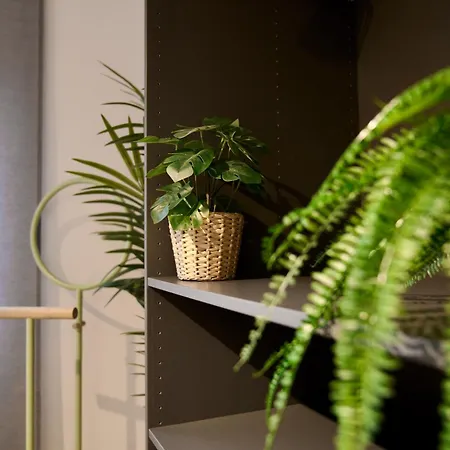 Edler Wohnraum Design-apartment Mit Balkon, Boxspringbett, Miele-kaffeevollautomat, Lift, Parkplatz & Wlan 569 Mbps شقة *